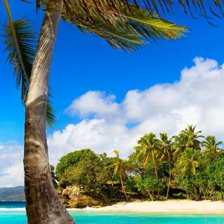 iPhone paradise wallpaper