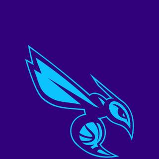 Charlotte Hornets iPhone wallpaper