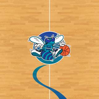 Charlotte Hornets iPhone wallpaper
