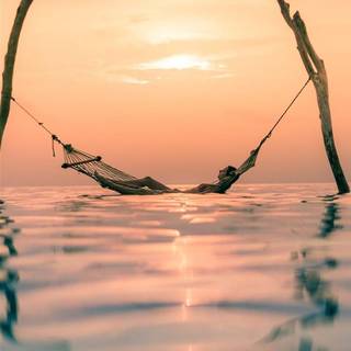 iPhone paradise wallpaper