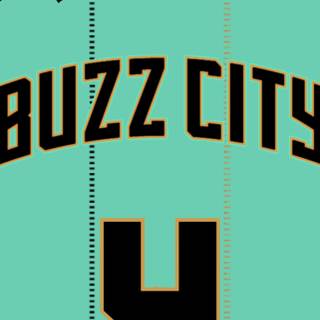 Charlotte Hornets iPhone wallpaper