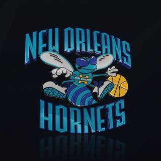 Charlotte Hornets iPhone wallpaper