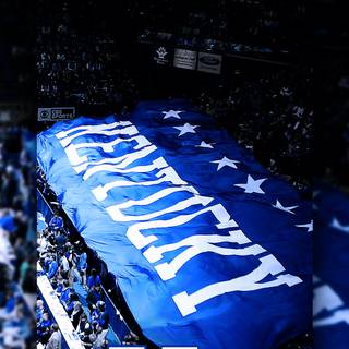 Kentucky Wildcats iPhone wallpaper