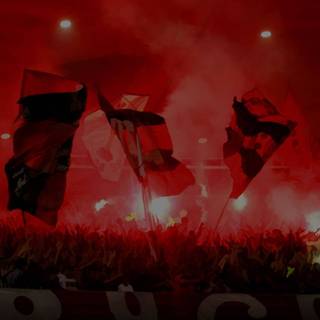 Flamengo desktop wallpaper