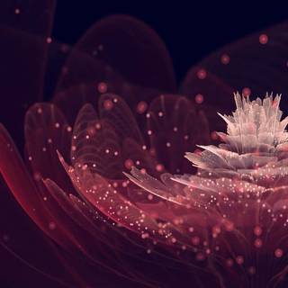 Maroon desktop wallpaper