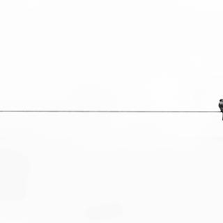 White minimalist desktop wallpaper