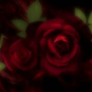 Maroon desktop wallpaper