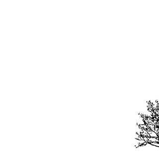 White minimalist desktop wallpaper