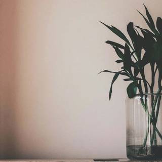 Minimal aesthetic desktop wallpaper