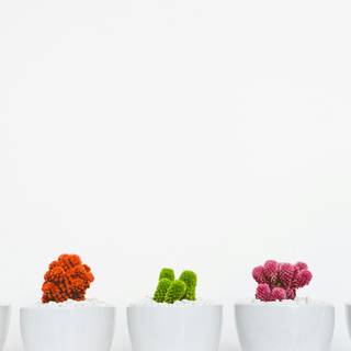 Minimal aesthetic desktop wallpaper