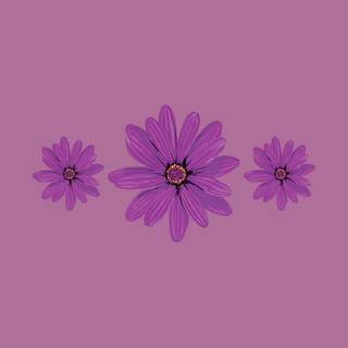 Lavender aesthetic desktop wallpaper