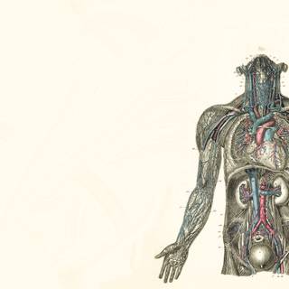 Medicine desktop wallpaper