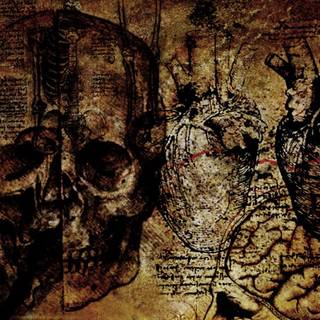 Medicine desktop wallpaper