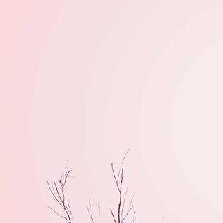 Pastel mobile wallpaper