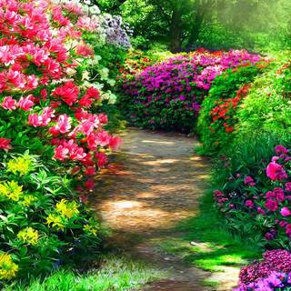 Garden mobile wallpaper