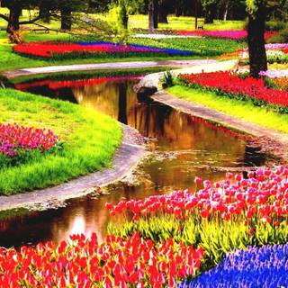 Garden mobile wallpaper