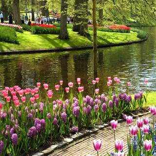 Garden mobile wallpaper