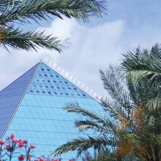 Garden mobile wallpaper