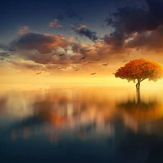 Sunrise PC 4k wallpaper