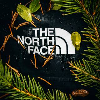 The North Face 4k wallpaper