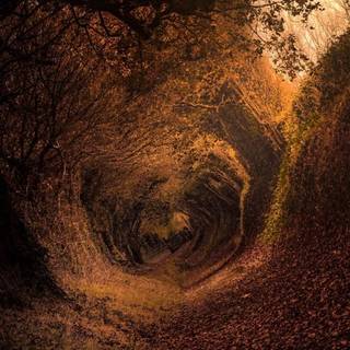 The Shire iPhone wallpaper