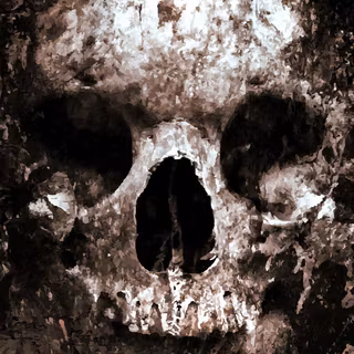 Skull iPhone 6 wallpaper