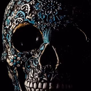 Skull iPhone 6 wallpaper