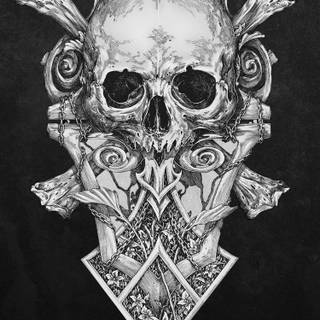Skull iPhone 6 wallpaper