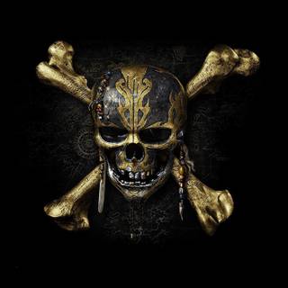 Skull iPhone 6 wallpaper