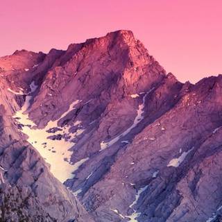 Nexus phone wallpaper