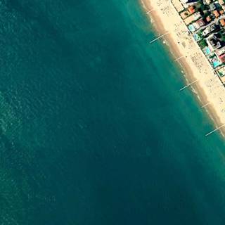 Nexus phone wallpaper