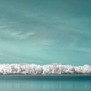 iPhone panoramic wallpaper