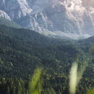 iPhone panoramic wallpaper