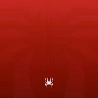 Nexus phone wallpaper