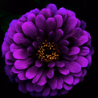 iPhone purple flower wallpaper