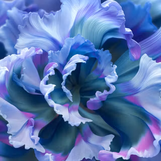 iPhone purple flower wallpaper