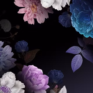 iPhone purple flower wallpaper