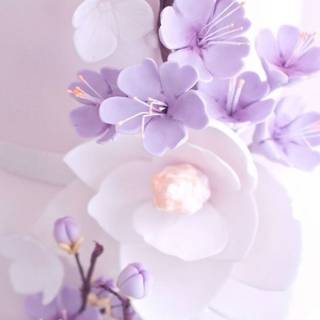 iPhone purple flower wallpaper