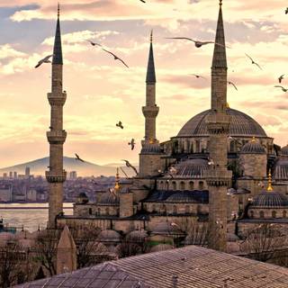 Mosque desktop wallpaper