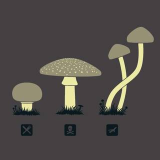 Goblincore desktop wallpaper