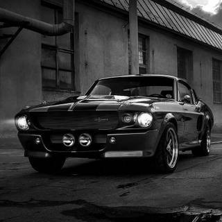 Mustang 1969 mobile wallpaper