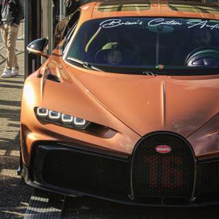 Andrew Tate mobile wallpaper