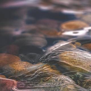 Calm mobile wallpaper