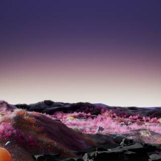 Calm mobile wallpaper