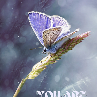 Unique mobile wallpaper