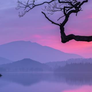 Calm mobile wallpaper