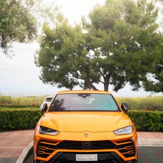 Lamborghini Urus mobile wallpaper