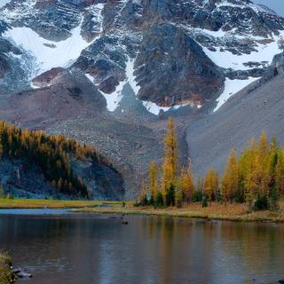 Canada mobile wallpaper