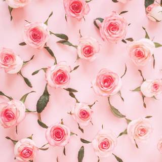 Pink aesthetic mobile wallpaper