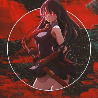 Akame ga Kill! mobile wallpaper